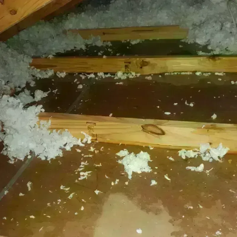 Attic Water Damage in Indialantic, FL