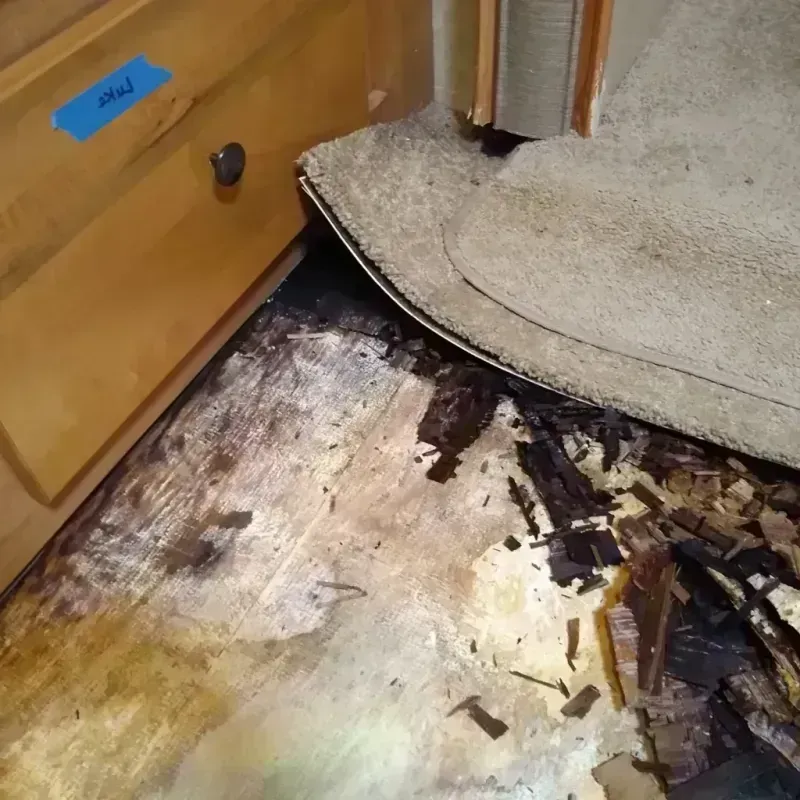 Wood Floor Water Damage in Indialantic, FL